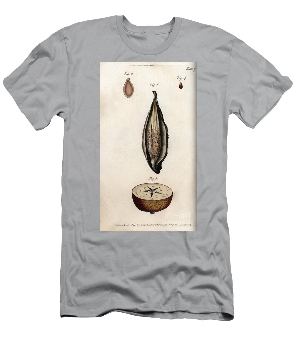Pericarp of Parakeet Grass or Wadding and Section of the Fruit of Domestic Apple Tree Sydenham Teast Edwards T-Shirt