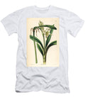 Pervuvian Daffodil Ismene Pedunculata Greenish Flowered Ismene Ismene Virescens European School T-Shirt