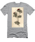Pheasants Eye Adonis Annua Polygynia Hermaphrodite Flower with Many Pistilla Sydenham Teast Edwards T-Shirt