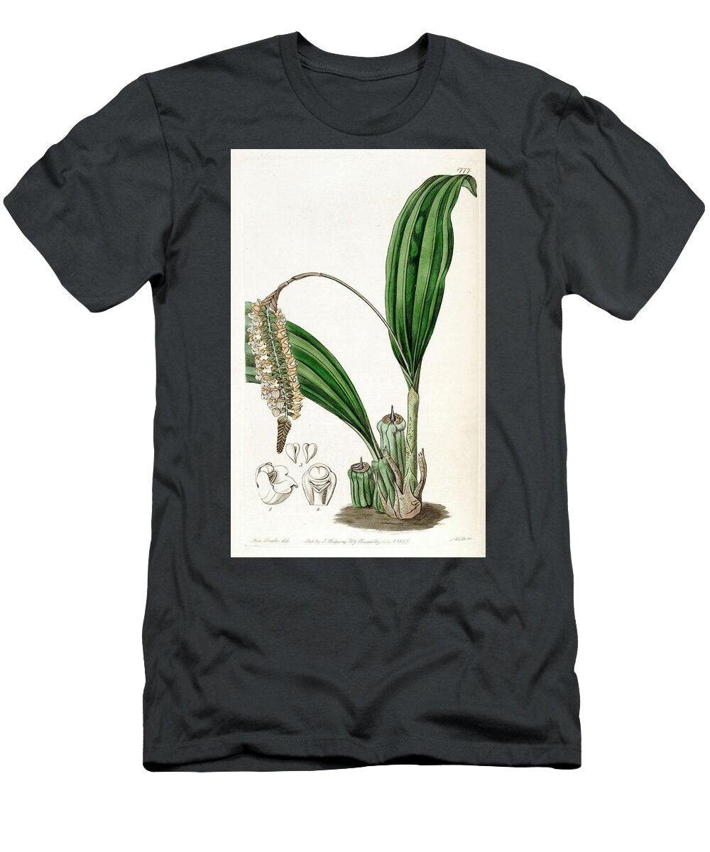 Pholidota Imbricata Sarah Anne Drake T-Shirt