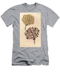 Picotee Carnation 1 and Scarlet Bizard Carnation 2 Sydenham Teast Edwards T-Shirt