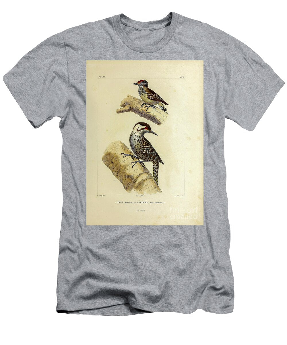 Piculet and Woodpecker 1835 U1 Historic Illustrations T-Shirt
