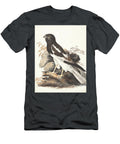 Pied Harrier Circus Melanoleucos Y1 Historic Illustrations T-Shirt