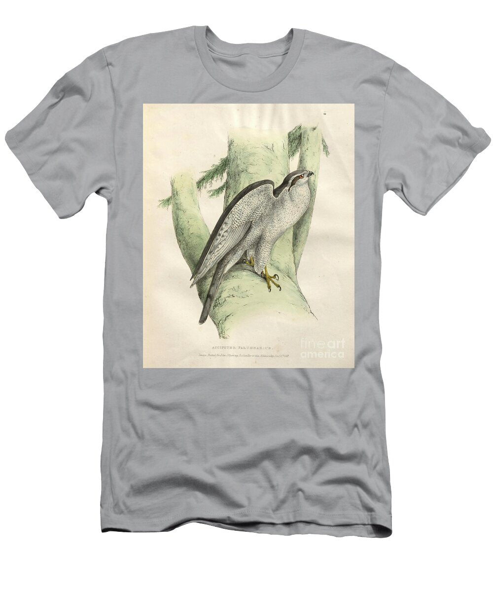 Pigeon Hawk Colourised Plate O1 Historic Illustrations T-Shirt