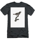 Pileated Woodpecker Picus Pileatus From Zoological Lectures Delivered At the Royal Institution in Th Les Classics T-Shirt