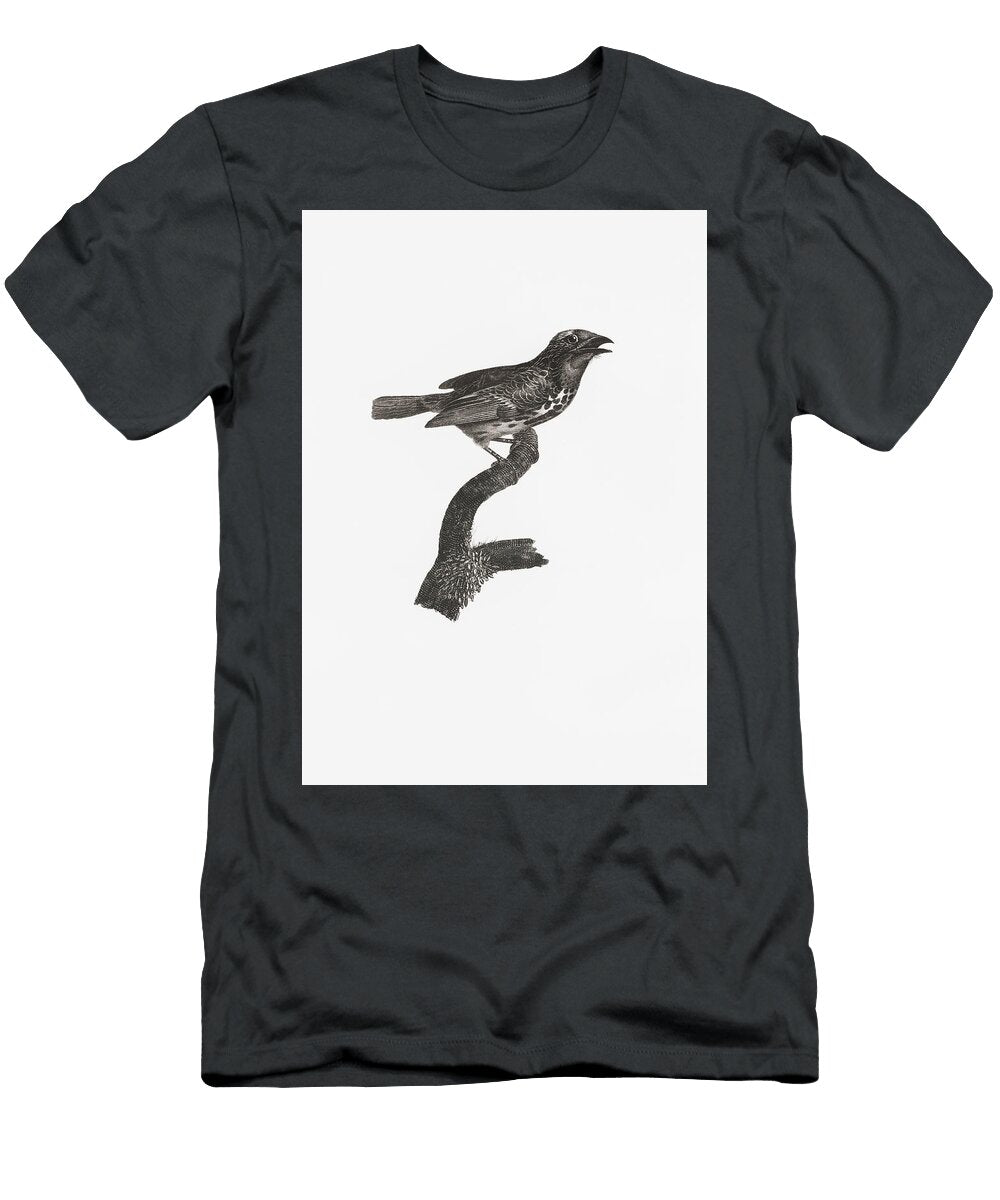 Pileated Woodpecker Picus Pileatus From Zoological Lectures Delivered At the Royal Institution in Th Les Classics T-Shirt