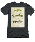 Pimelodus Fish of South America B2 Historic Illustrations T-Shirt