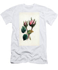 Pink Moss Rosa Muscosa European School T-Shirt