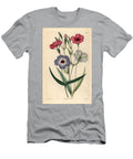 Pink Poppy of the Sky Rose of Heaven Silene Coeli Rosa Dark Eyed Viscaria Viscaria Oculata European School T-Shirt