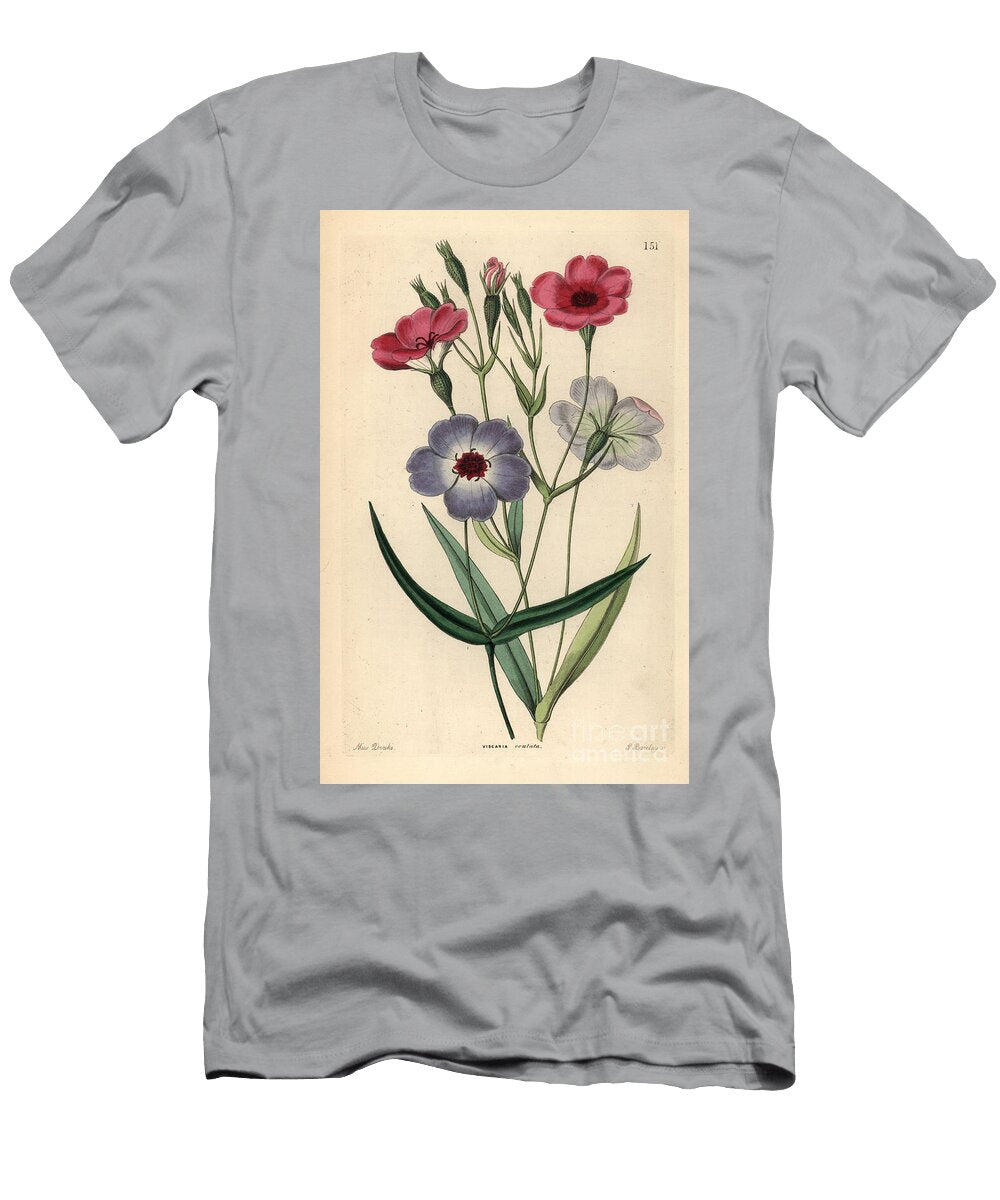 Pink Poppy of the Sky Rose of Heaven Silene Coeli Rosa Dark Eyed Viscaria Viscaria Oculata European School T-Shirt