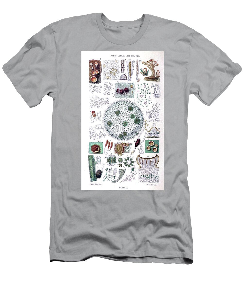 Plant and Fungi Microscopy K2 Historic Illustrations T-Shirt