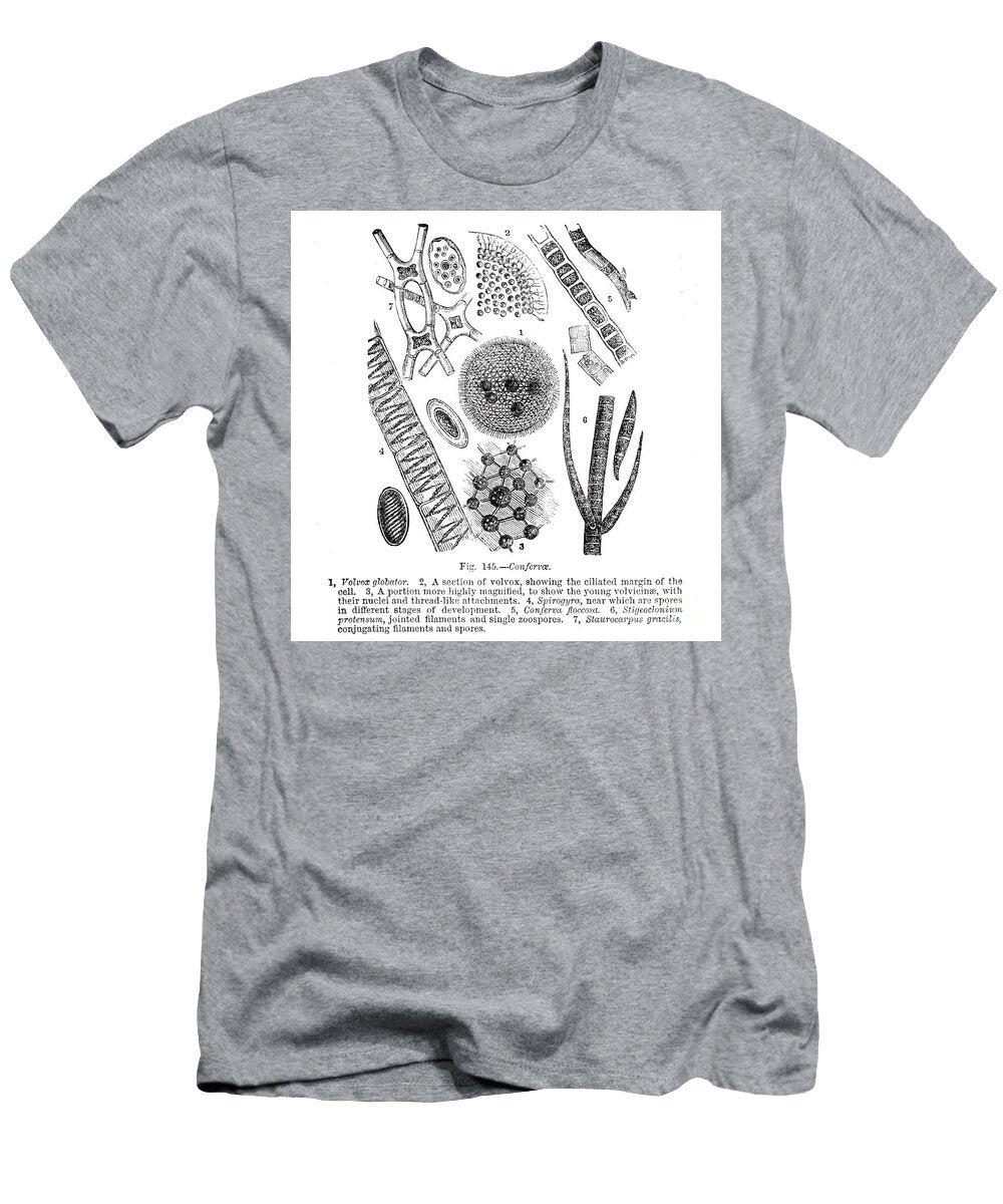 Plant and Fungi Microscopy K3 Historic Illustrations T-Shirt