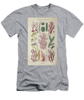 Plant and Fungi Microscopy K4 Historic Illustrations T-Shirt