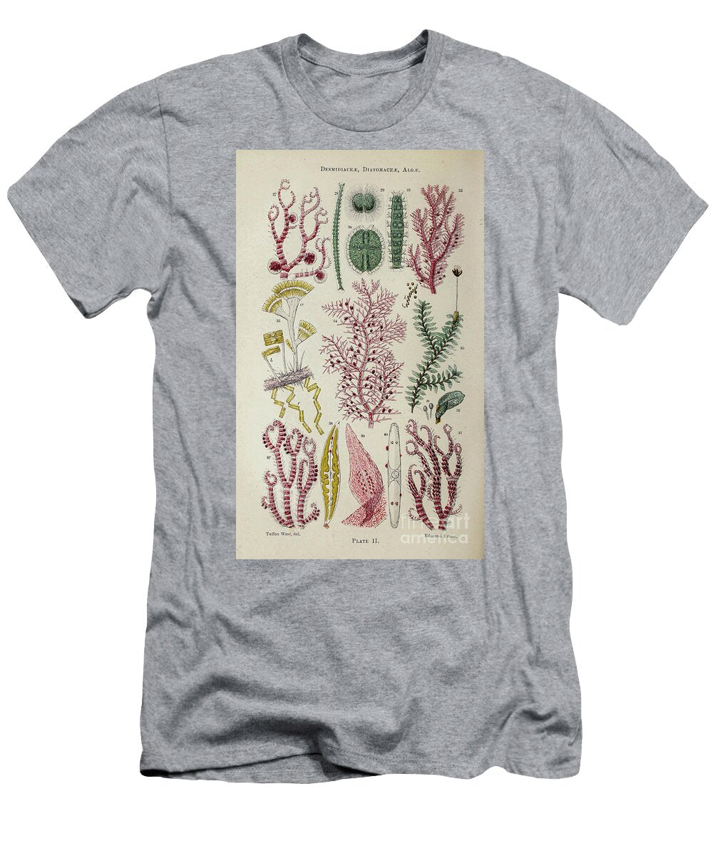 Plant and Fungi Microscopy K4 Historic Illustrations T-Shirt