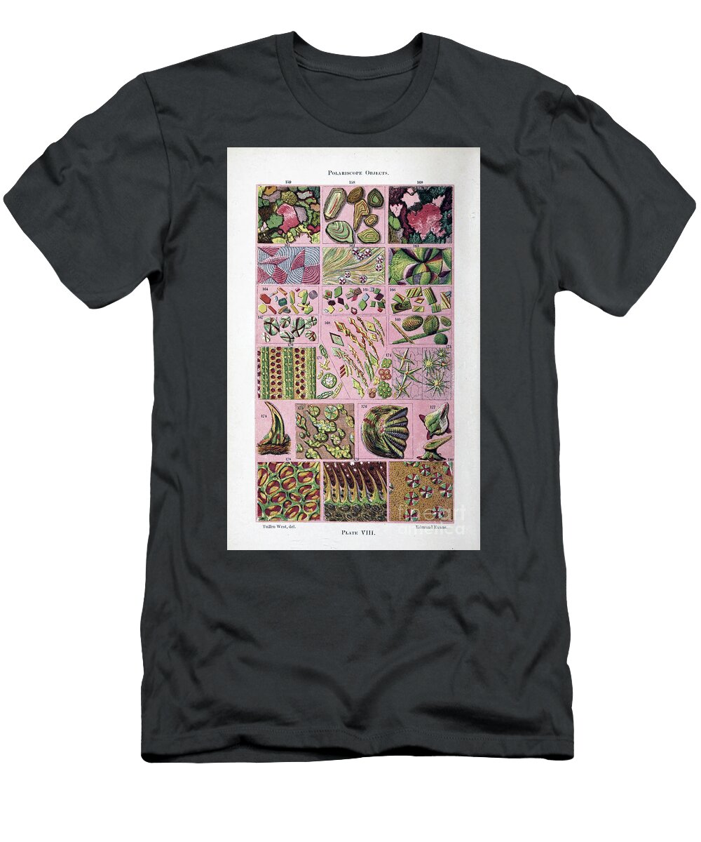 Plant and Fungi Microscopyk1 Historic Illustrations T-Shirt