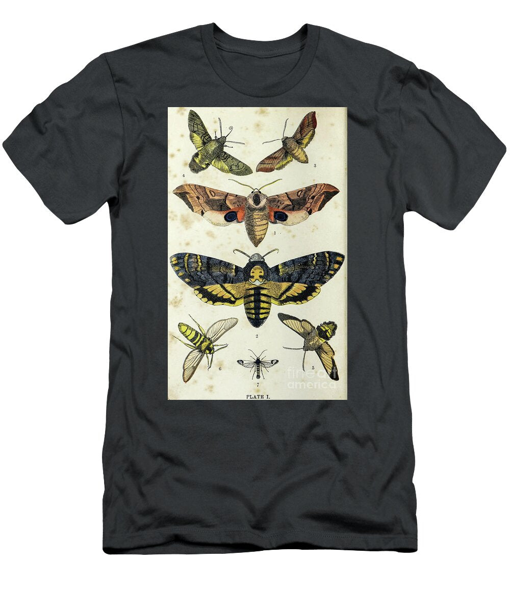 Plate I Common Moths of England I2 Historic Illustrations T-Shirt