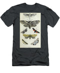 Plate Ii Common Moths of England I3 Historic Illustrations T-Shirt