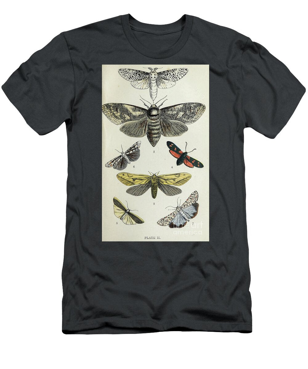 Plate Ii Common Moths of England I3 Historic Illustrations T-Shirt