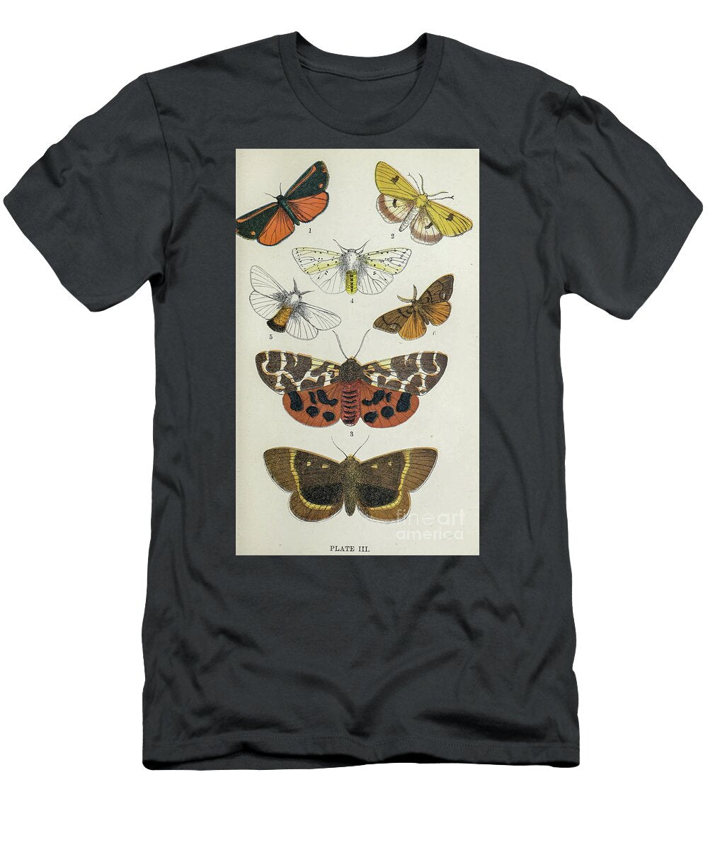 Plate Iii Common Moths of England I1 Historic Illustrations T-Shirt