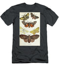 Plate Iv Common Moths of England I1 Historic Illustrations T-Shirt