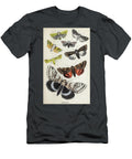 Plate Ix Common Moths of England I1 Historic Illustrations T-Shirt