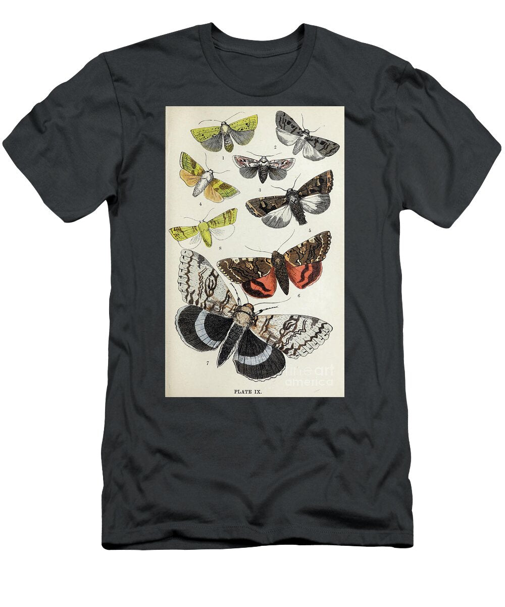 Plate Ix Common Moths of England I1 Historic Illustrations T-Shirt