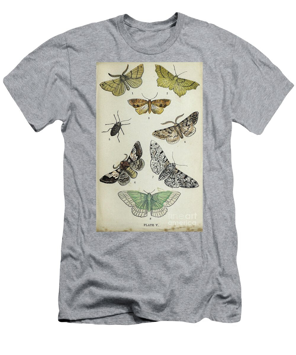 Plate V Common Moths of England I2 Historic Illustrations T-Shirt
