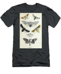 Plate Vii Common Moths of England I2 Historic Illustrations T-Shirt