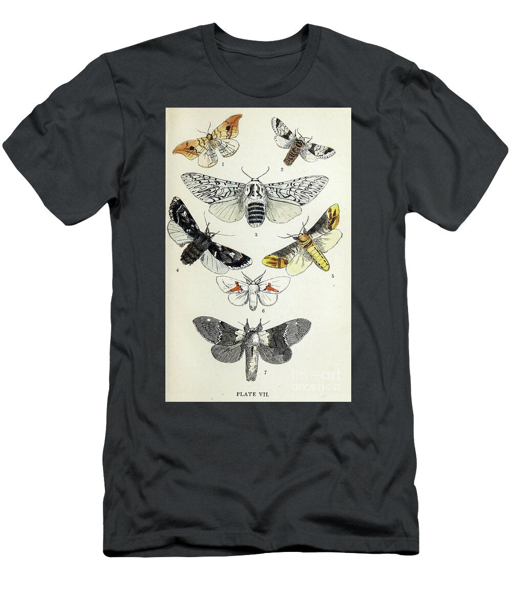 Plate Vii Common Moths of England I2 Historic Illustrations T-Shirt