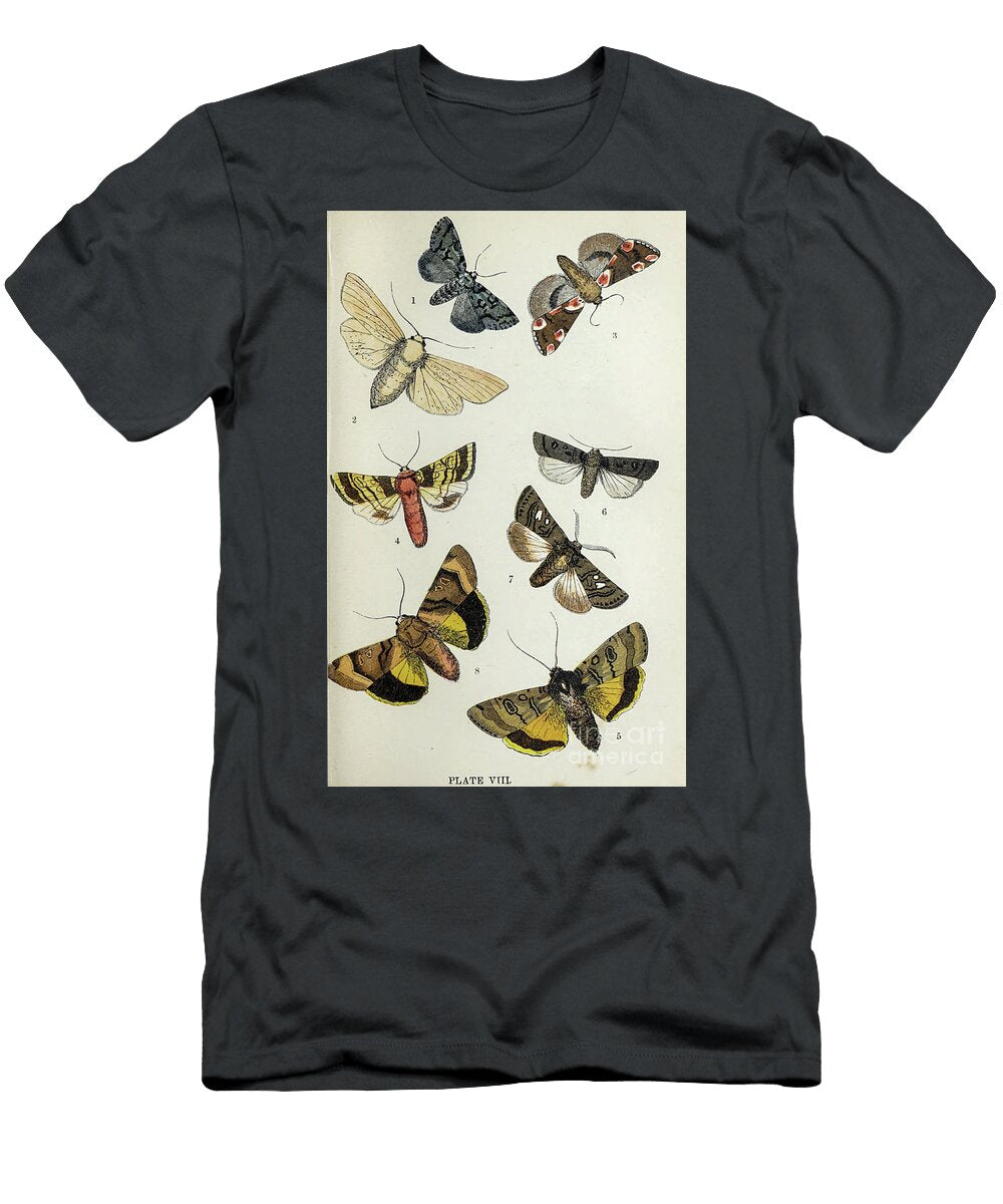Plate Viii Common Moths of England I1 Historic Illustrations T-Shirt