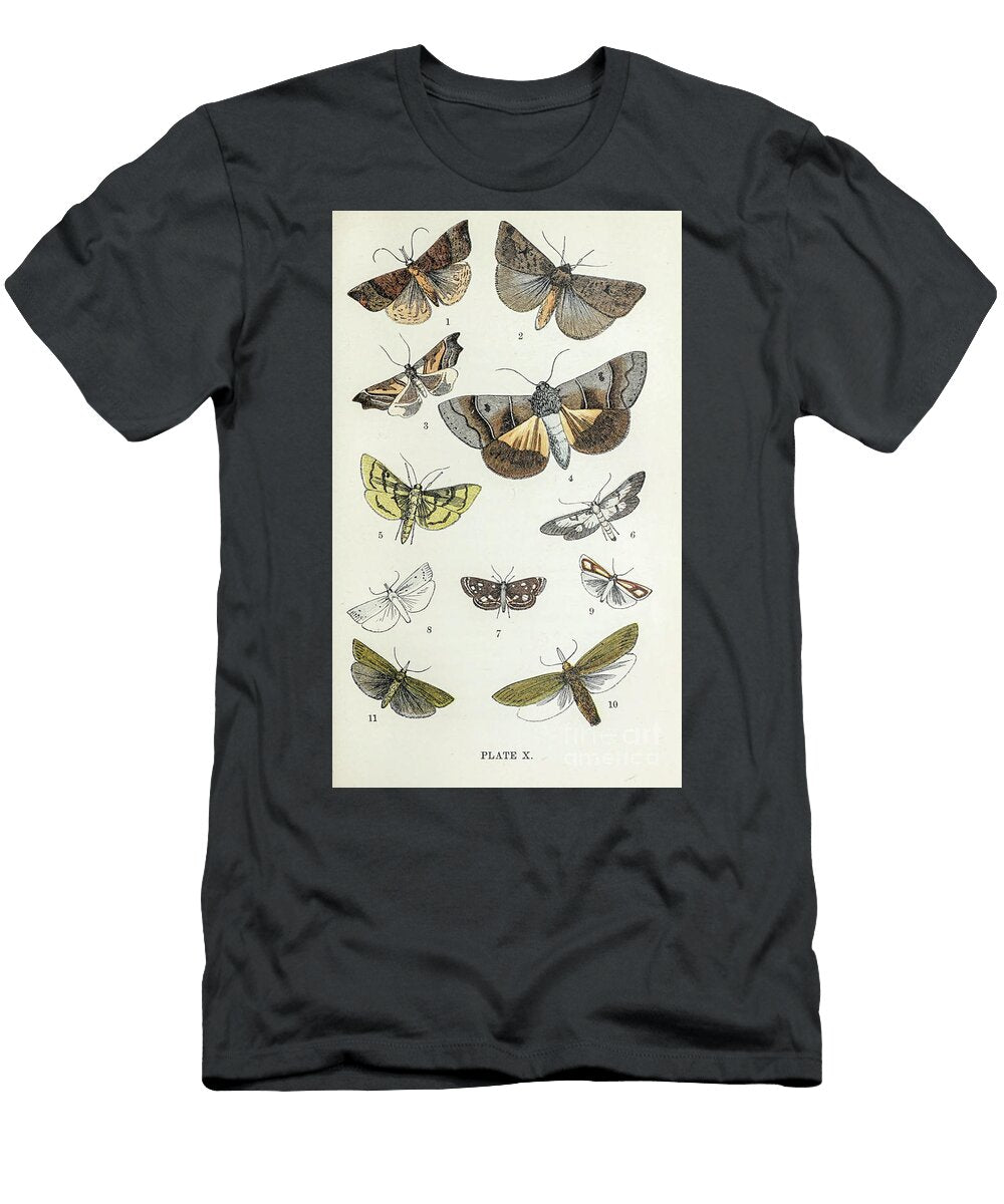 Plate X Common Moths of England I2 Historic Illustrations T-Shirt