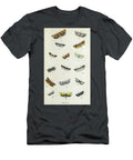 Plate Xi Common Moths of England I1 Historic Illustrations T-Shirt