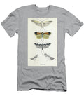 Plate Xii Common Moths of England I1 Historic Illustrations T-Shirt