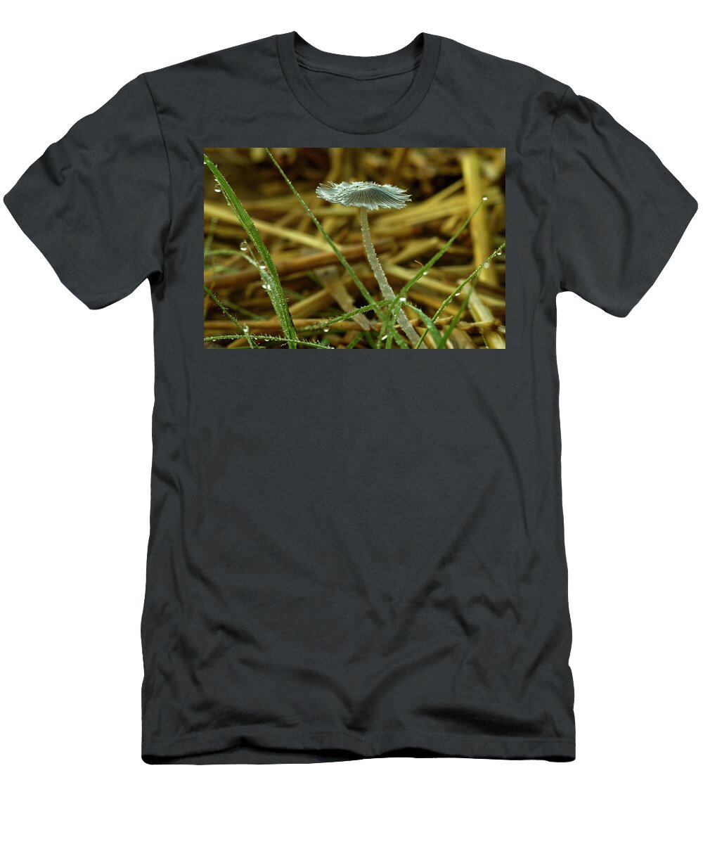 Pleated Inkcap Mushroom 5 Douglas Barnett T-Shirt