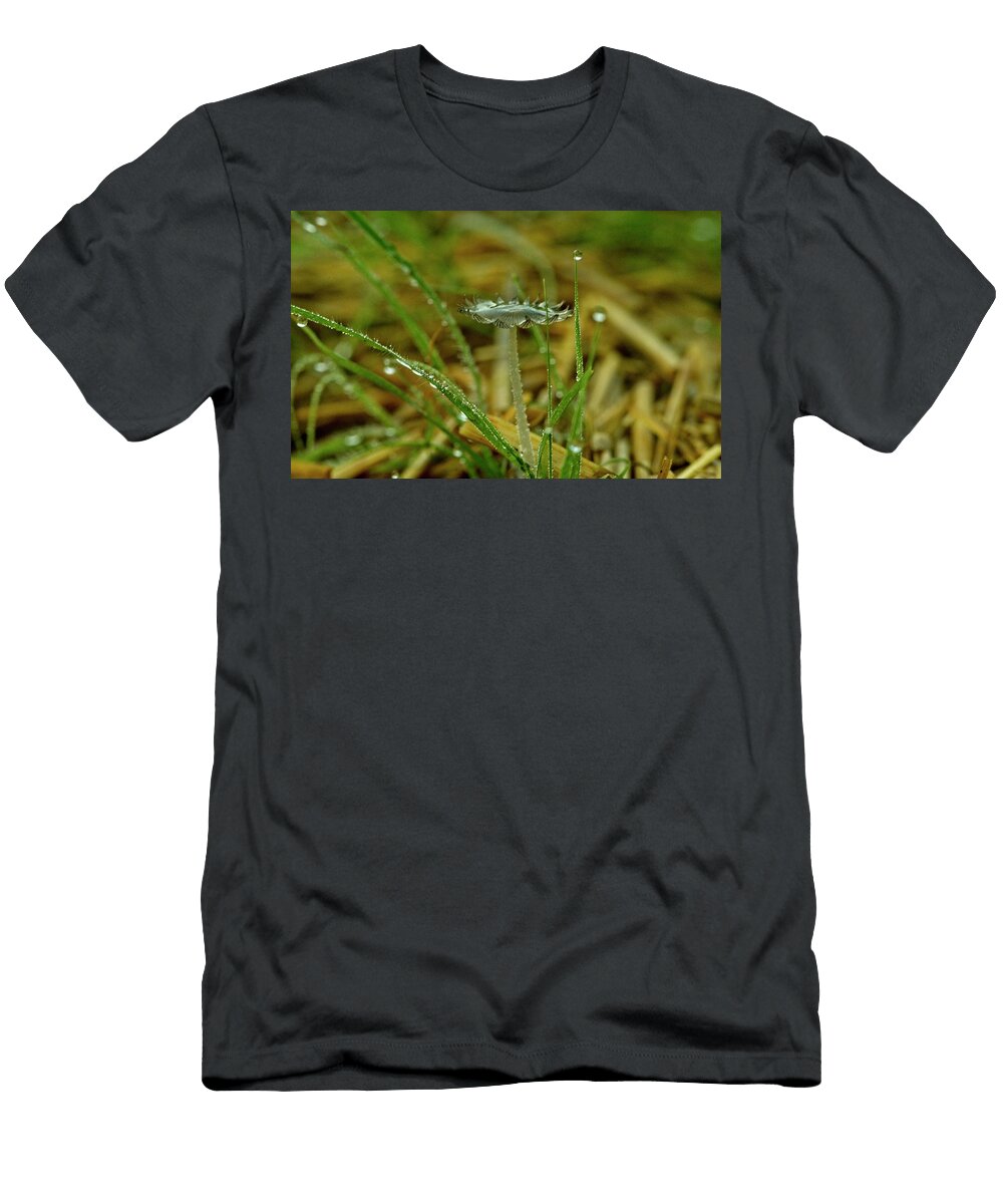 Pleated Inkcap Mushroom 6 Douglas Barnett T-Shirt