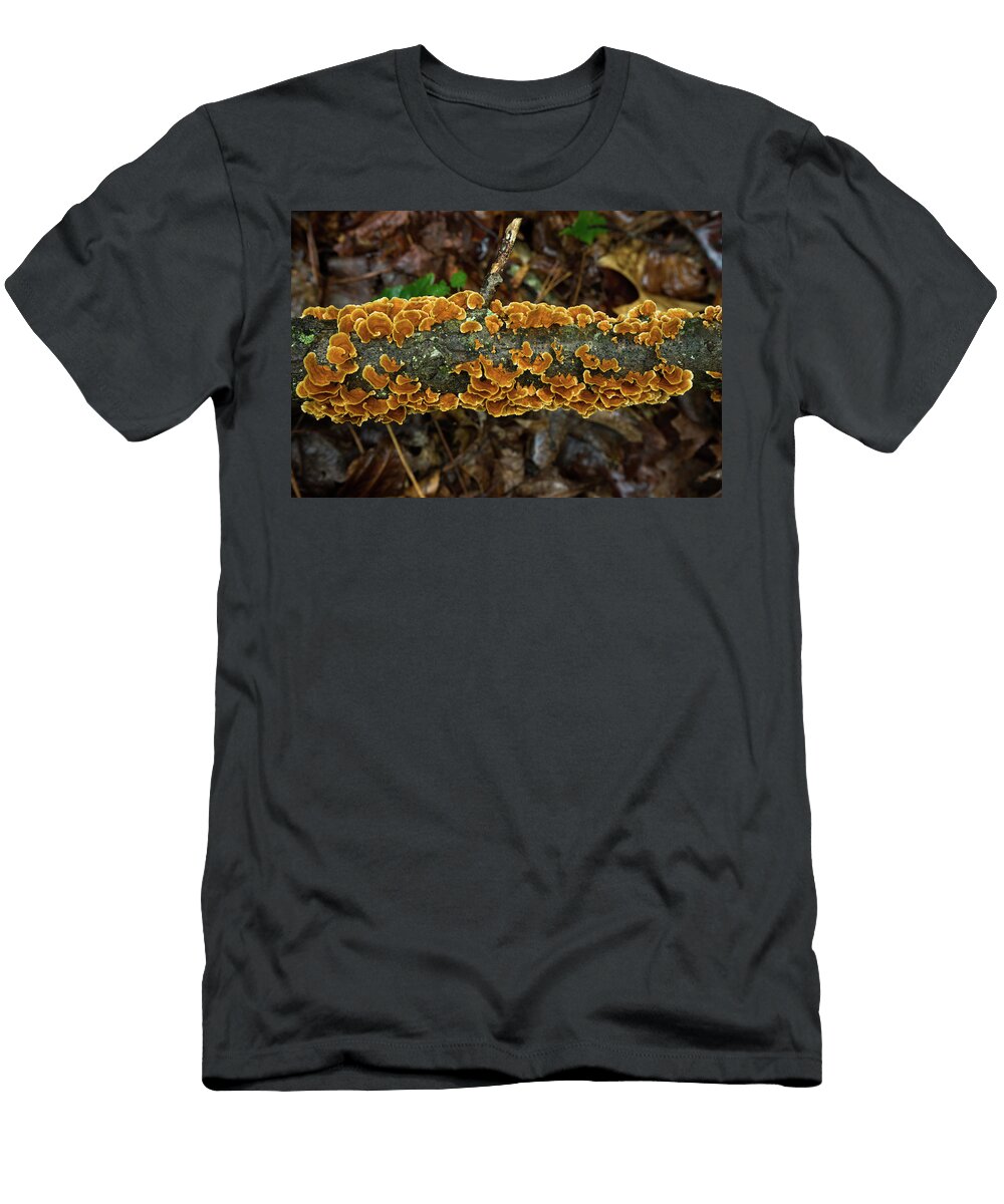 Plethora of Trukey Tails for Thanksgiving Douglas Barnett T-Shirt