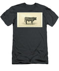 Polled Angus Cow Q1 Historic Illustrations T-Shirt