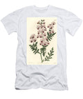 Poor Man S Orchid Pinnated Schizanthus Dwarf Variety Schizanthus Pinnatus Humilis Sydenham Teast Edwards T-Shirt