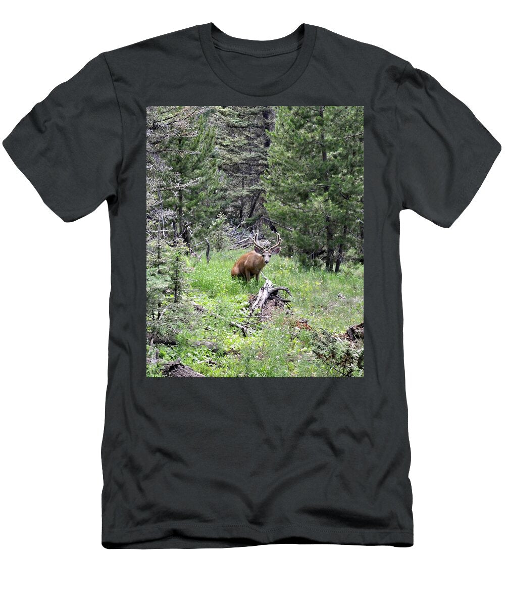 Pop a Squat Deer Teresa Taylor T-Shirt