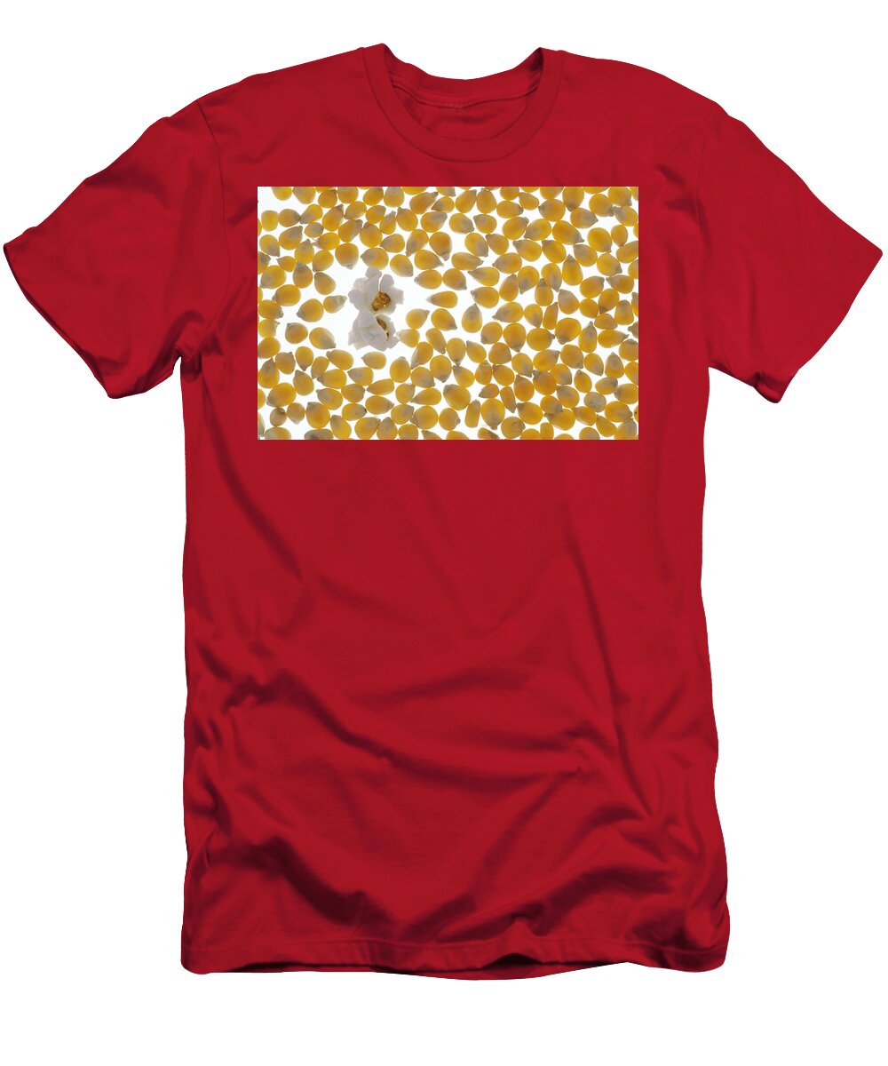 Popcorn Lynn Hoffman T-Shirt