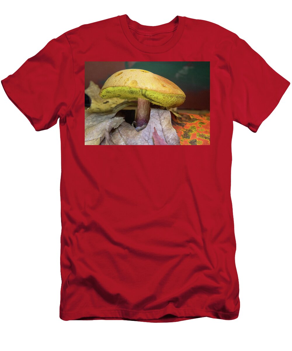 Poriaceae Mushroom Among the Leaves Douglas Barnett T-Shirt