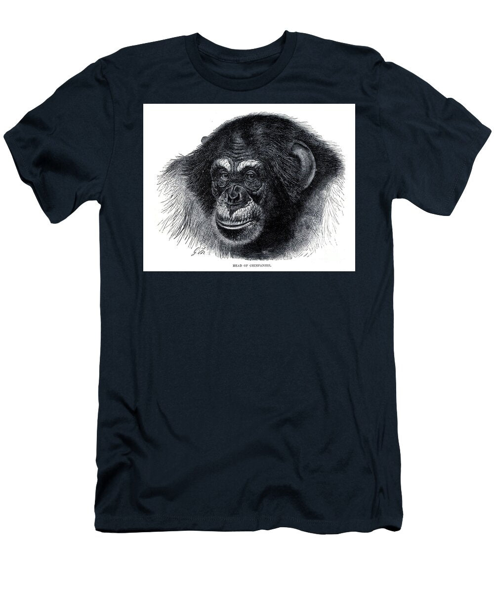 Portrait of a Chimpanzee L5 Historic Illustrations T-Shirt