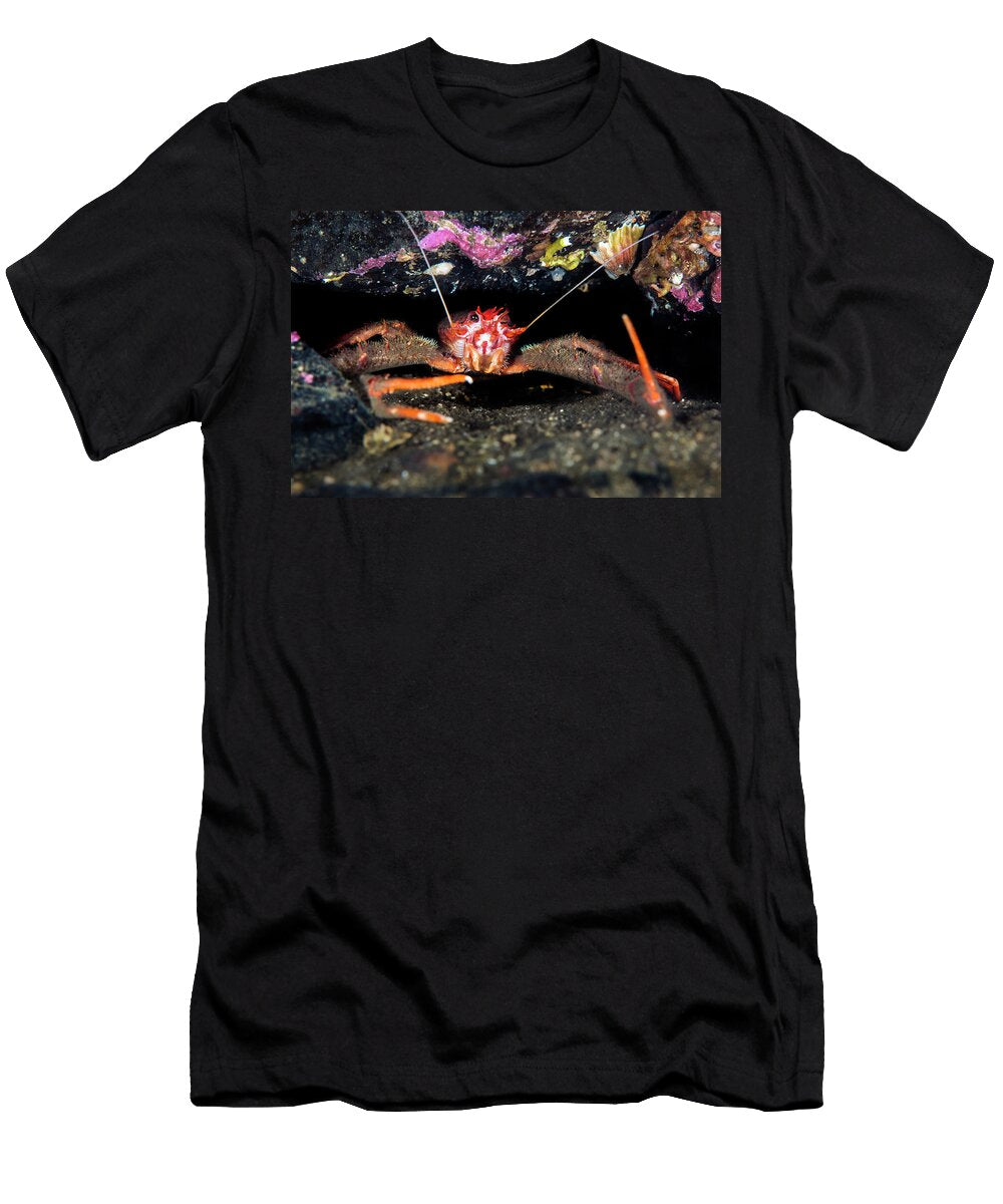 Portrait of a Long Clawed Squat Lobster Inverinate Alex Mustard Natureplcom T-Shirt