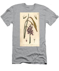Purple Orchid Orchis Mascula Gynandria 1 3 and Sedge Grass Carex Hirta Monoecia 4 6 Sydenham Teast Edwards T-Shirt