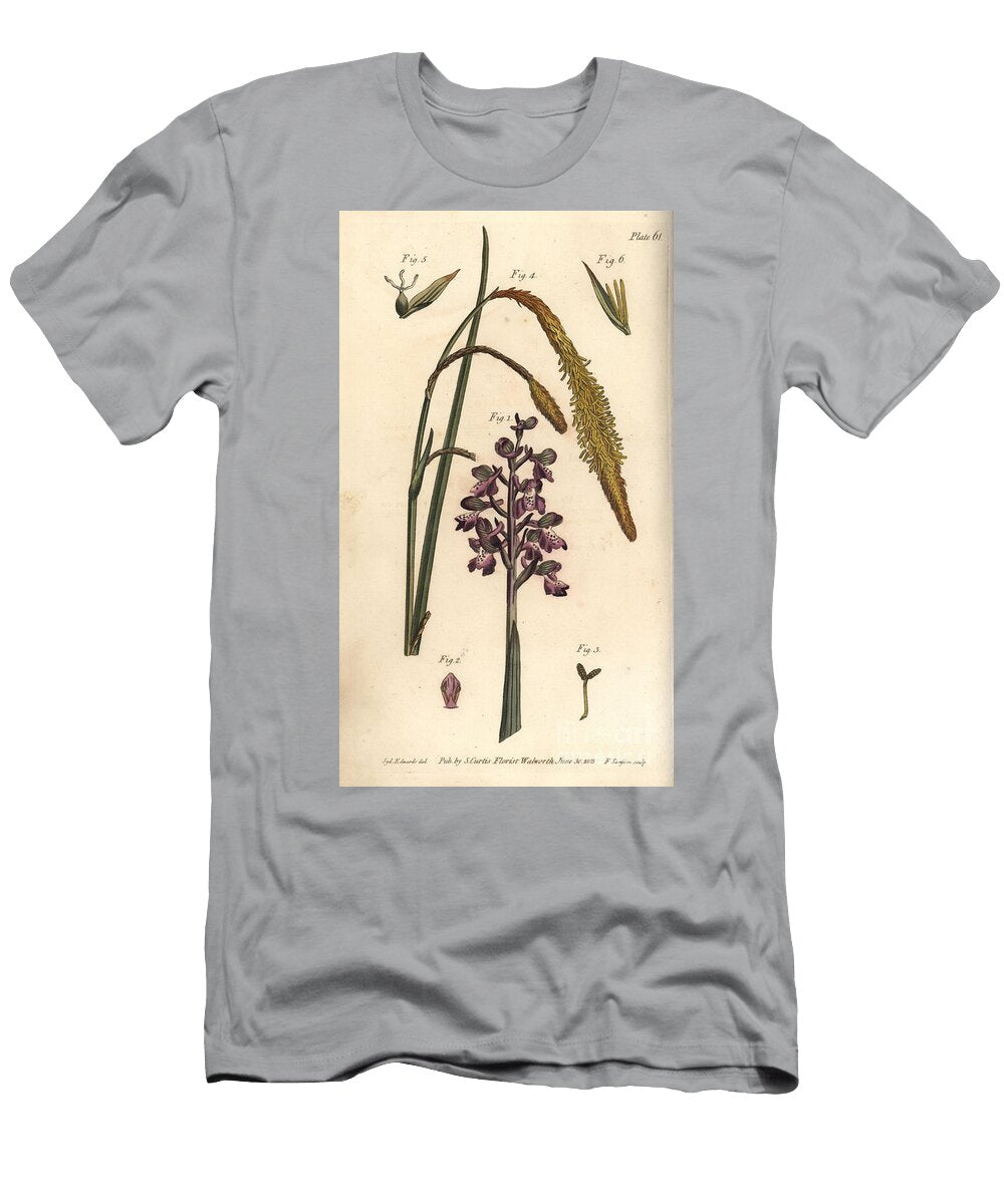 Purple Orchid Orchis Mascula Gynandria 1 3 and Sedge Grass Carex Hirta Monoecia 4 6 Sydenham Teast Edwards T-Shirt