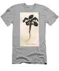 Radish Potagere Root Sydenham Teast Edwards T-Shirt