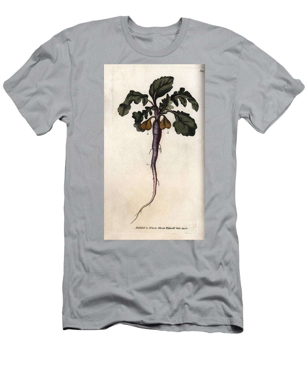 Radish Potagere Root Sydenham Teast Edwards T-Shirt