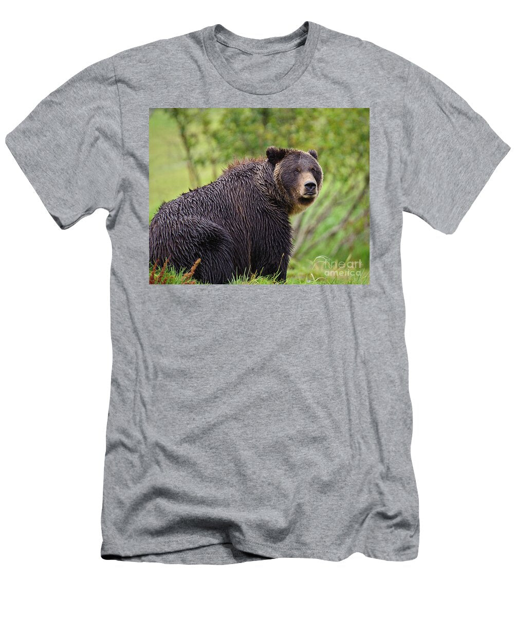 Rain Soaked Grizzly Bear Timothy Flanigan T-Shirt