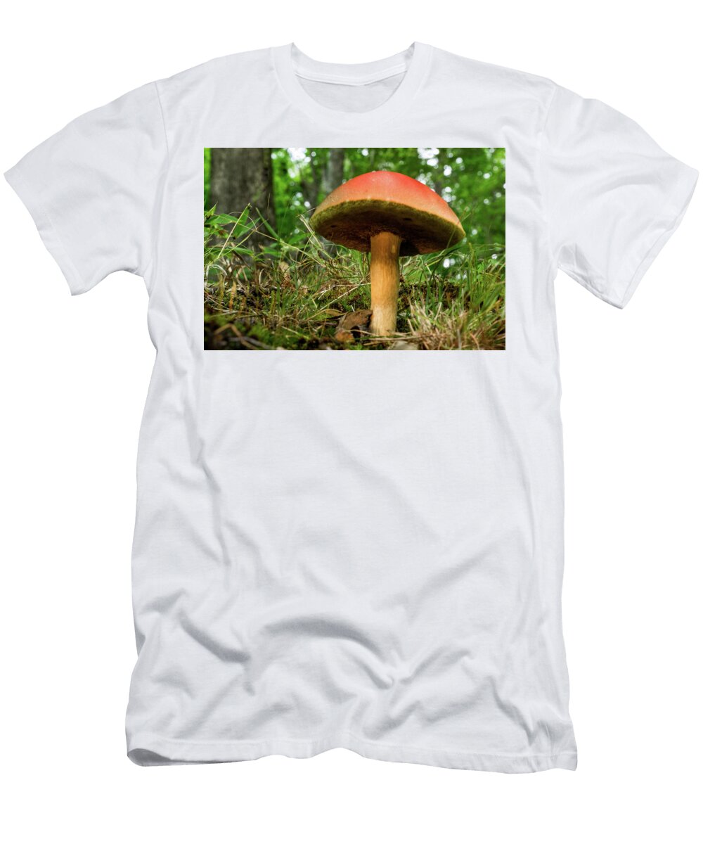 Red Capped Poriaceae Douglas Barnett T-Shirt