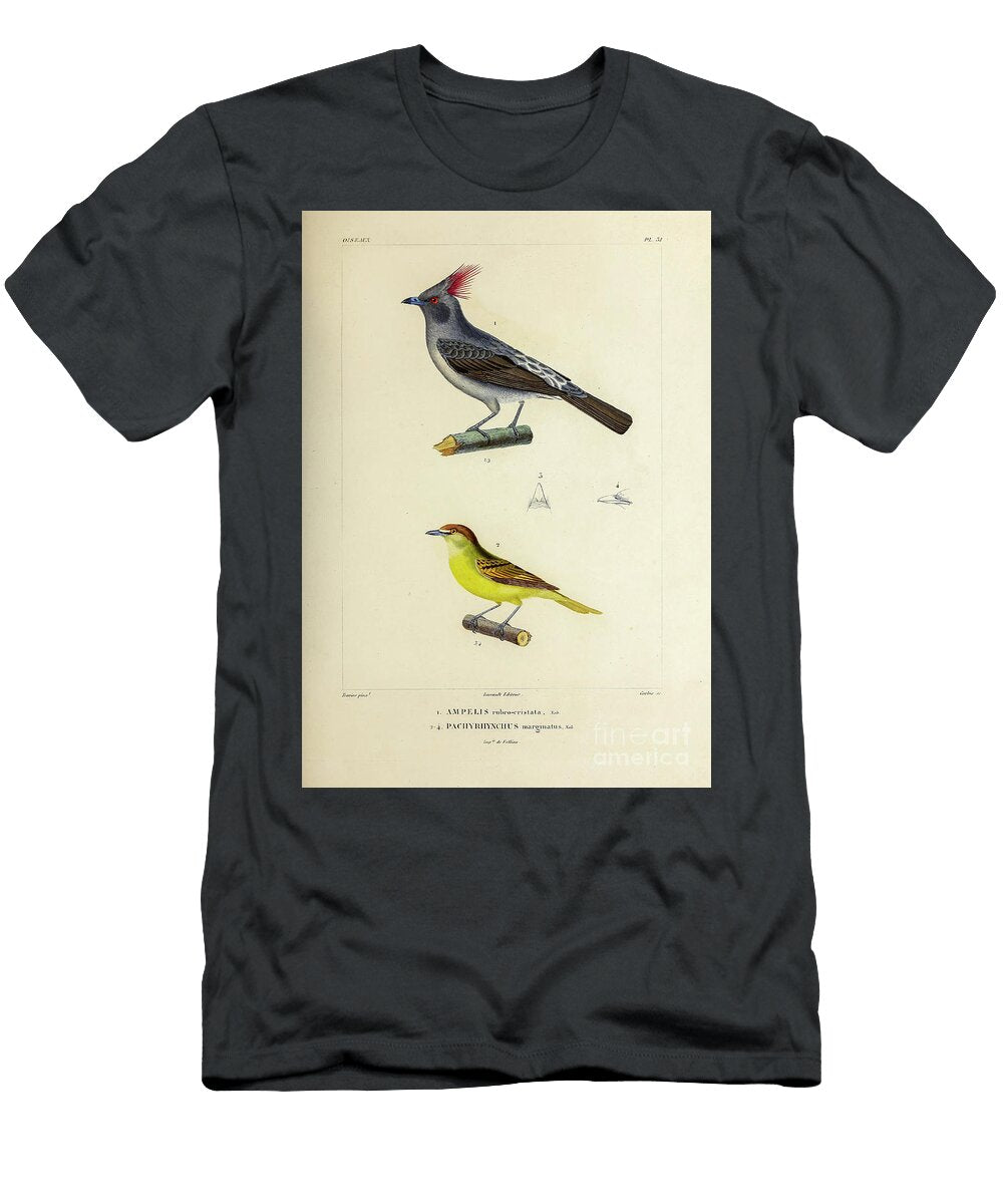 Red Crested Cotinga 1835 U1 Historic Illustrations T-Shirt